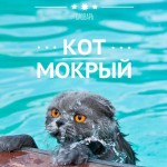 Udmurdikeelsed sõnamängud koguvad populaarsust