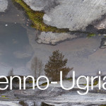 Soome-ugri artiklivõistlus Vikipeedias