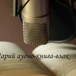 Marimaal loodi 40 audioraamatut