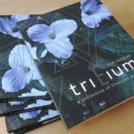 Liivi-inglise luulekogu „Trilium/Trillium“ pälvis Läti kirjanduse aastapreemia