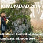 Botaanikaaias avatakse hõimupäevade puhul soome-ugri pühapaikade näitus