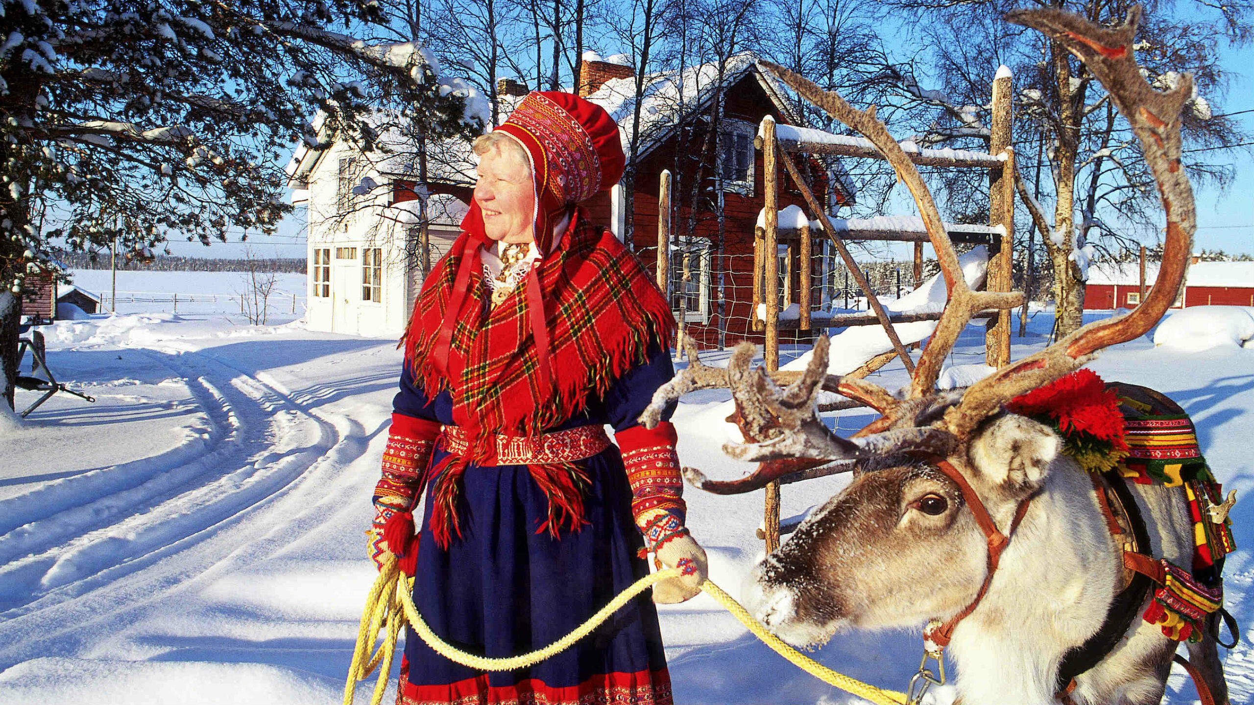 Sami Reindeer People Culture