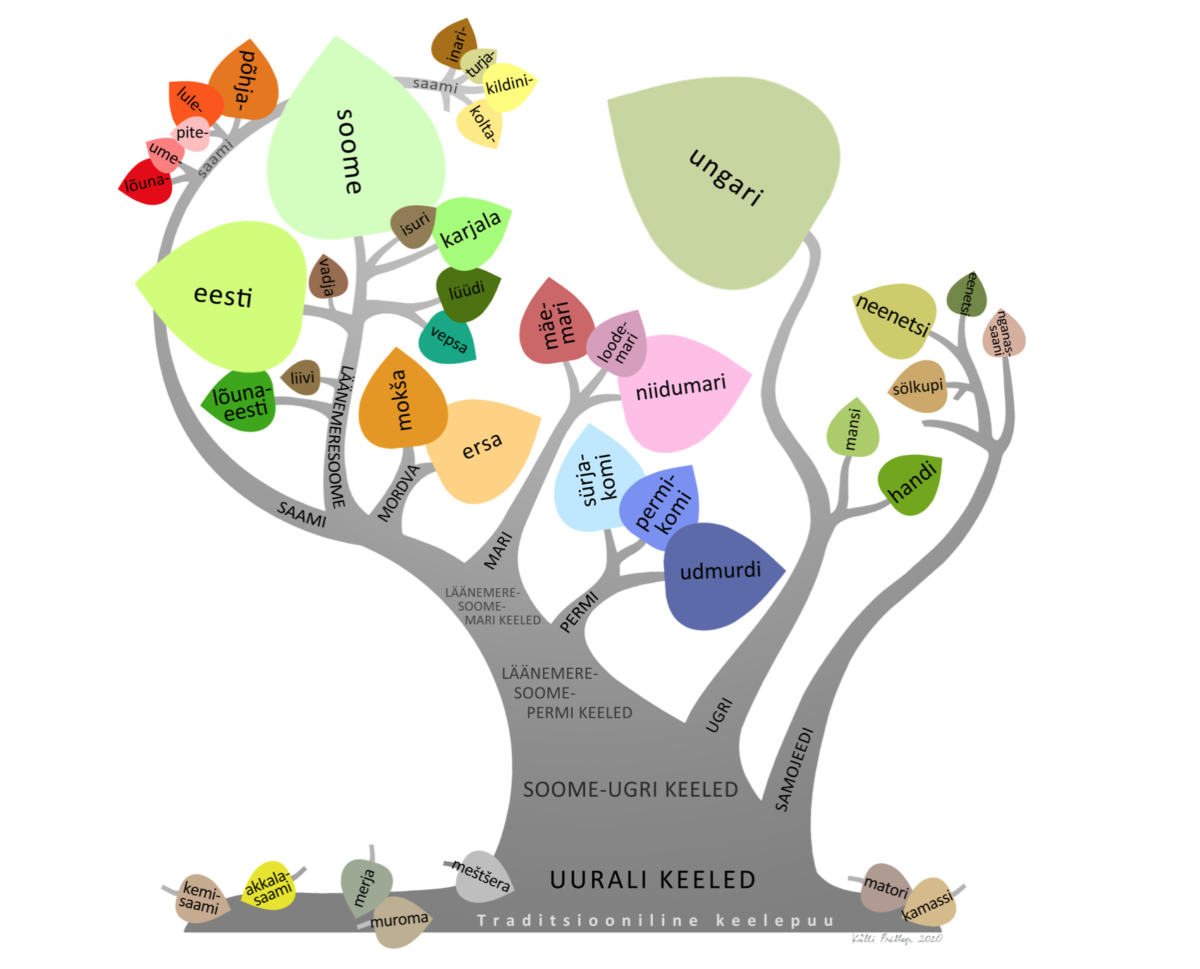 Uralic Language Family Fenno Ugria   Keelepuu UUS 1200x969 