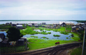 Mansimaa maastik hantide juures